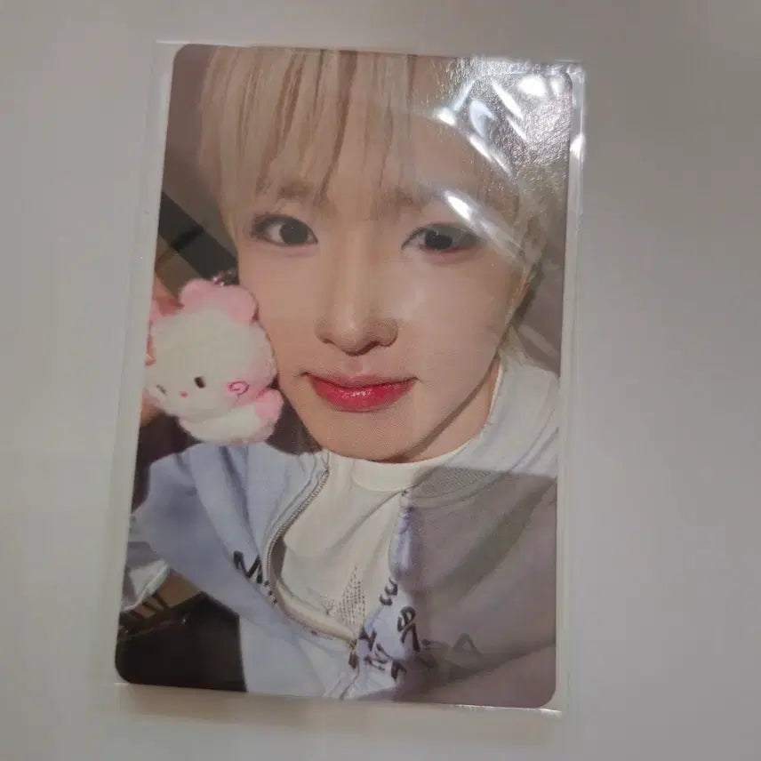 [BUNJANG] Wishnini Yushi Bubble Cat Large Hug Cushion w/ Photocard / 위시니니 유우시 버블냥 대형 허그 쿠션 포카 포함