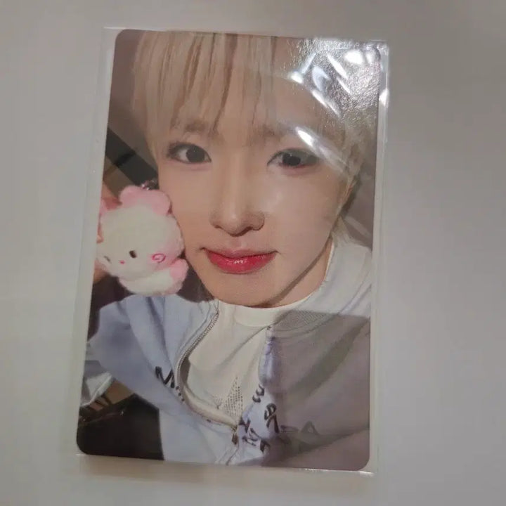 [BUNJANG] Wishnini Yushi Bubble Cat Large Hug Cushion w/ Photocard / 위시니니 유우시 버블냥 대형 허그 쿠션 포카 포함
