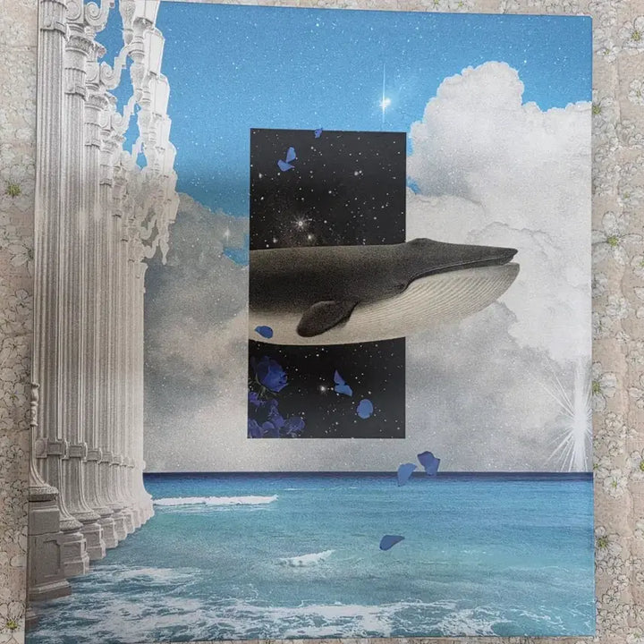 [BUNJANG] Whale Photocard Binder / 포카바인더 판매합니다