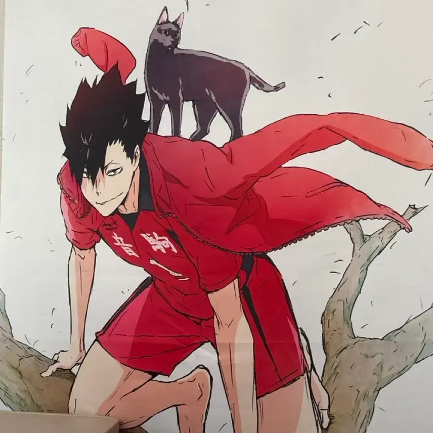 [BUNJANG] Haikyuu!! Tetsuro Kuroo Barefoot Tapestry / 하이큐 쿠로오 테츠로 맨발 태피스트리