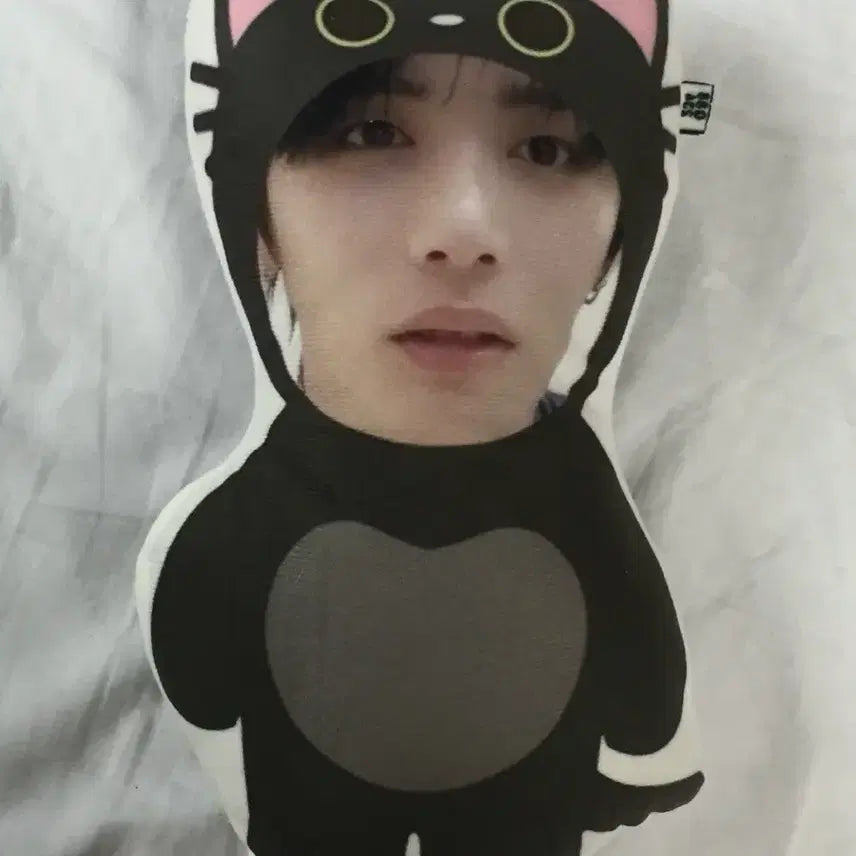 [BUNJANG] BOYNEXTDOOR Taesan Cat Plush Doll / 보이넥스트도어 보넥도 고양이 태산 인형