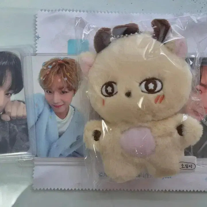 [BUNJANG] Park Jihoon Bundle Set Photocard / 박지훈 포카, 소심이 일괄 판매