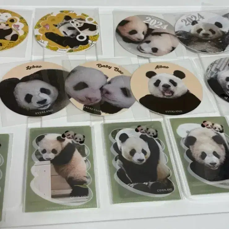 [BUNJANG] Fu Bao Madeleine Coaster Bundle Set / 푸바오 마들렌 코스터 일괄판매
