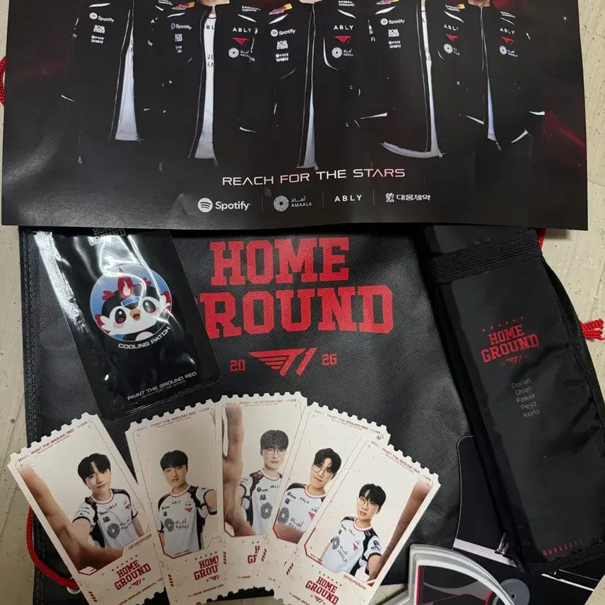 [BUNJANG] T1 Home Ground Set / T1홈그 세트 반매