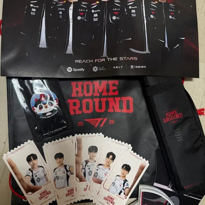 [BUNJANG] T1 Home Ground Set / T1홈그 세트 반매