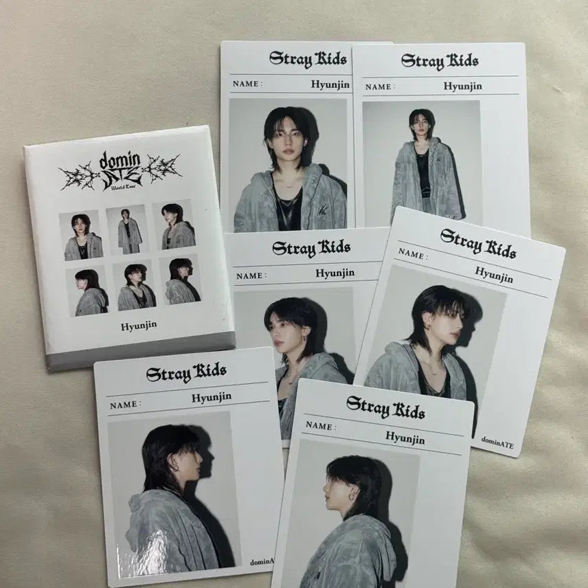 [BUNJANG] Stray Kids Hyunjin Japan Card Set / 스트레이키즈 스키즈 현진 일본 카드 세트 양도