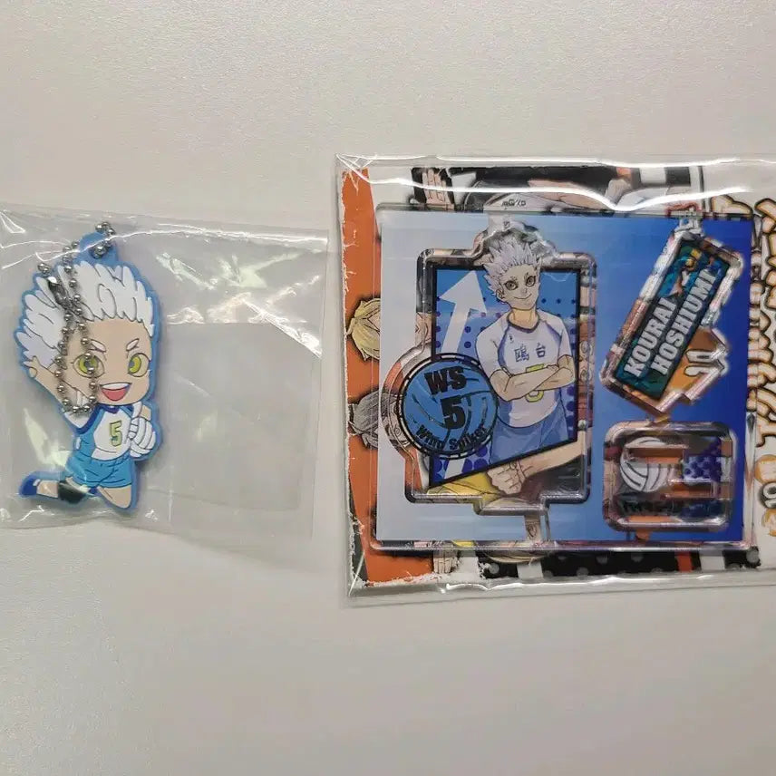 [BUNJANG] Haikyuu!! Hoshiumi Korai Acrylic Stand &amp; Rubber Strap Set / 하이큐 호시우미 코라이 피규어 컬렉션 아크릴 원화 굿즈 러버스트랩