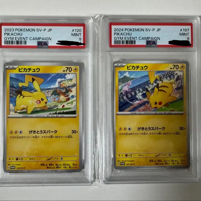 [BUNJANG] Pokemon Pikachu 2023/2024 Gym Promo Card Set PSA 9 / 급처)포켓몬 피카츄 2023, 2024 짐 프로모 카드 psa9