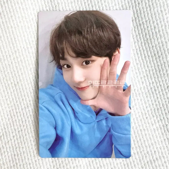 [BUNJANG] Enhypen Jungwon Lightstick Photocard Version 1 / 엔하이픈 정원 양정원 응원봉 포카 버전1