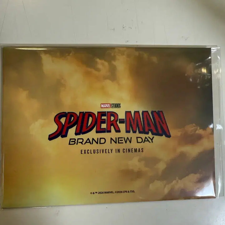 [BUNJANG] Spider-Man: Brand New Day Peter Parker AR Film Set / 스파이더맨: 브랜드 뉴 데이 피터 파커 AR 필름 세트