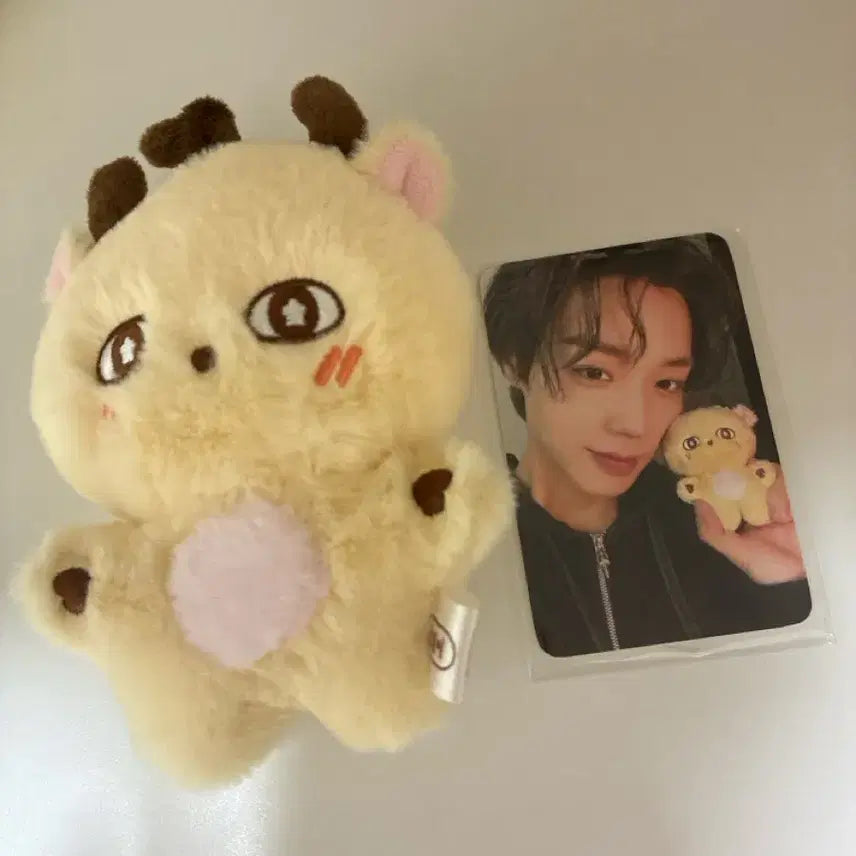 [BUNJANG] Park Jihoon (Wanna One) &