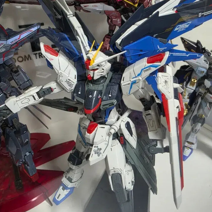 [BUNJANG] MG Freedom &amp; MG Barbatos Bundle Set / mg 프리덤 mg 발바토스 일괄