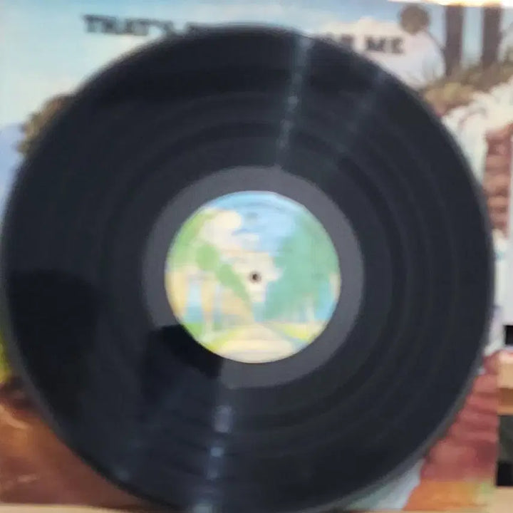 [BUNJANG] Peter Yarrow US First Press Folk LP / 포크 Peter Yarrow 미국초반 희귀 LP