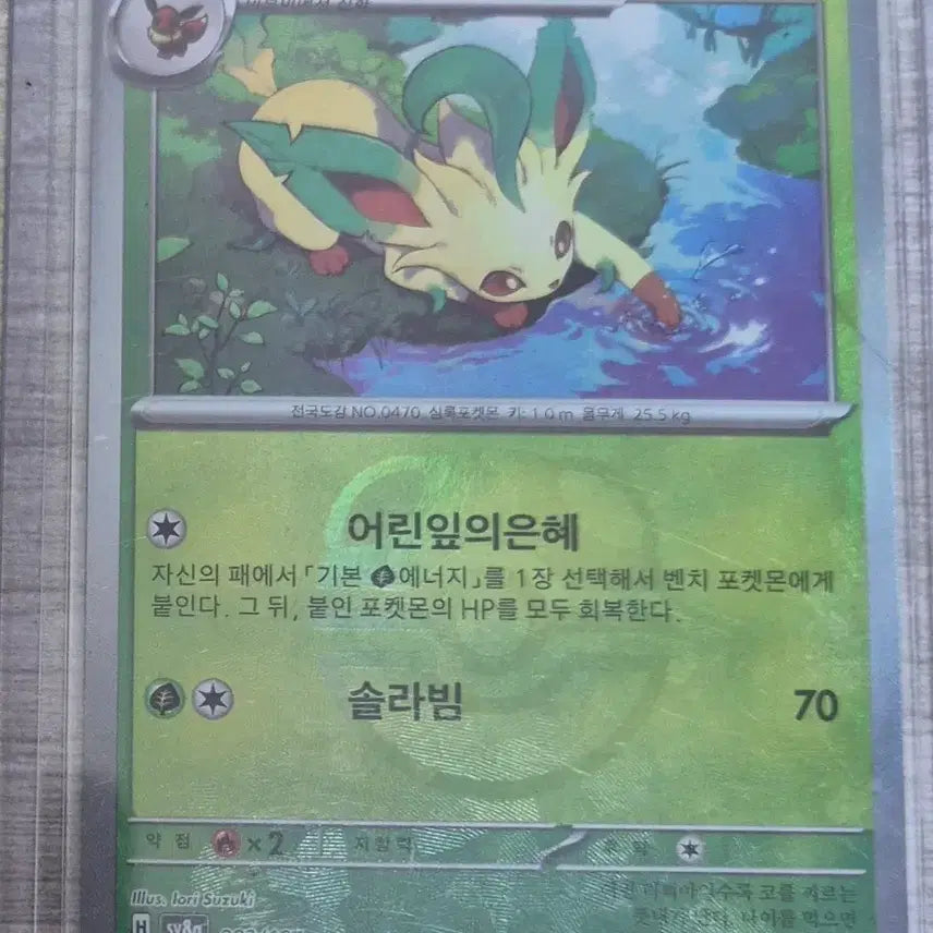 [BUNJANG] Lippia Master Ball / 리피아 마스터볼