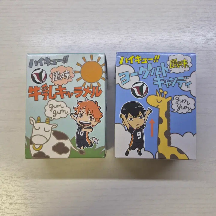 [BUNJANG] Haikyuu!! Karasuno High School L-Folder / 하이큐 카라스노 l자파일