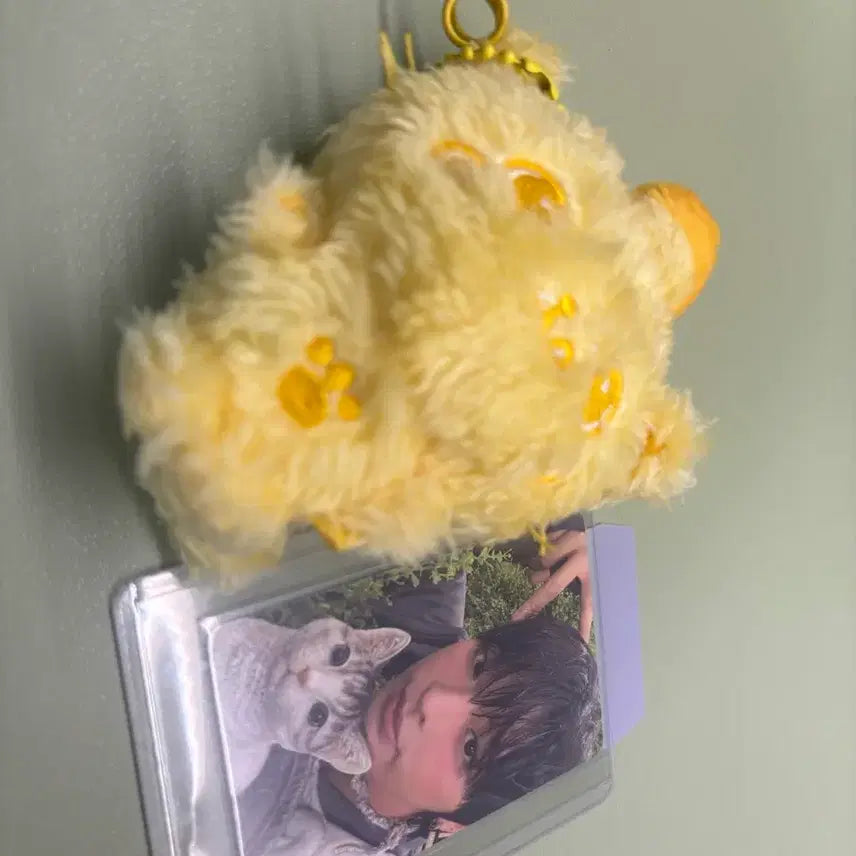[BUNJANG] NCT Wish Yellow Kuri Photocard / 노랑쿠리 엔시티위시 판매