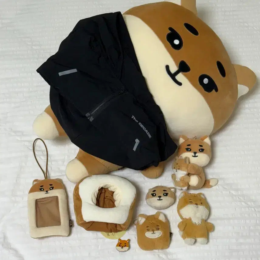 [BUNJANG] DAY6 Young K Giant MD Bundle Set / 데이식스 영케이 자이언트 케 엠디 일괄