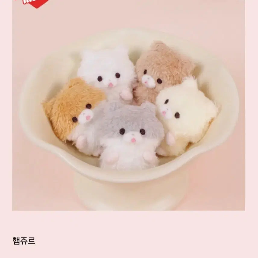 [BUNJANG] Melting Mimore Hamjure Sealed / 멜팅미모어 햄쥬르 미개봉 원가이하 판매