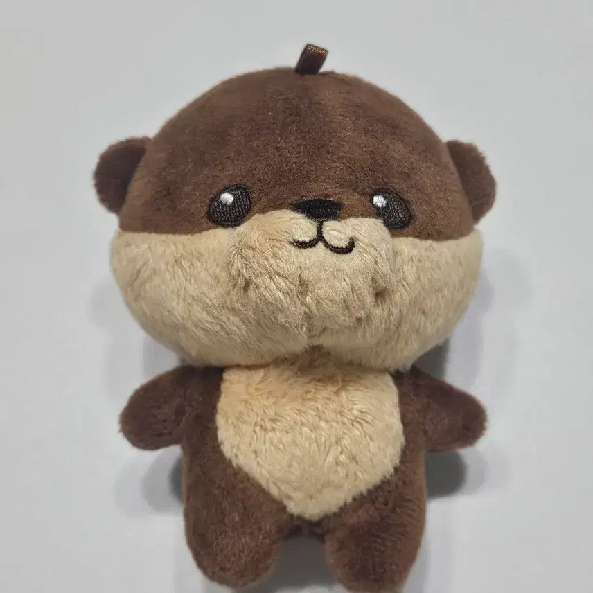 [BUNJANG] RIIZE Shotaro Doll Bundle Set / 쇼쇼로 오타로로 라이즈 쇼타로 인형 일괄 양도