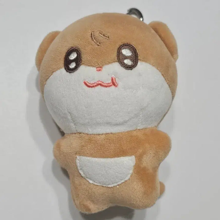 [BUNJANG] RIIZE Shotaro Doll Bundle Set / 쇼쇼로 오타로로 라이즈 쇼타로 인형 일괄 양도