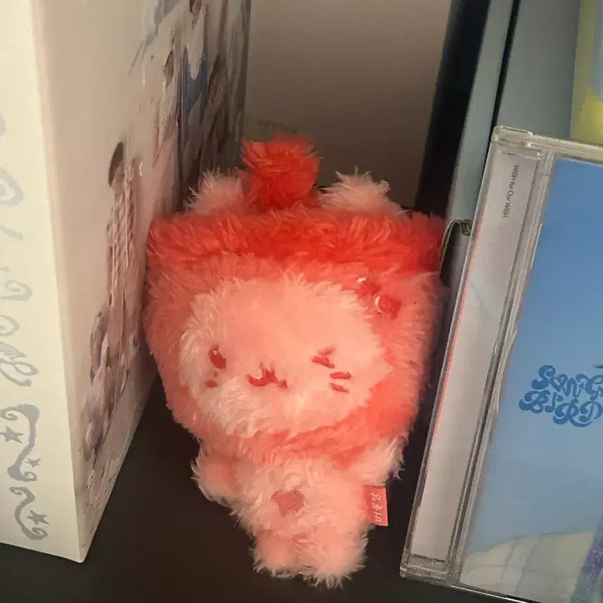 [BUNJANG] Color Wish Doll Red Bubble Cat Yuuichi Plush Doll NCT Wish / 컬러위시돌 레드 버블냥 위부부 유우시 인형 엔시티 위시 nct wish