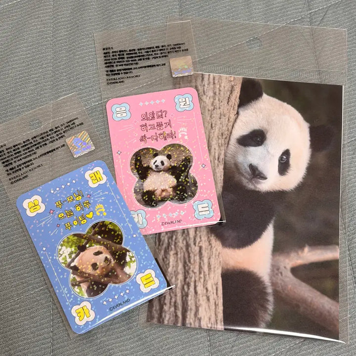 [BUNJANG] Fu Bao Postcard &amp; Photocard Bundle Set / 푸바오 엽서, 포카 일괄