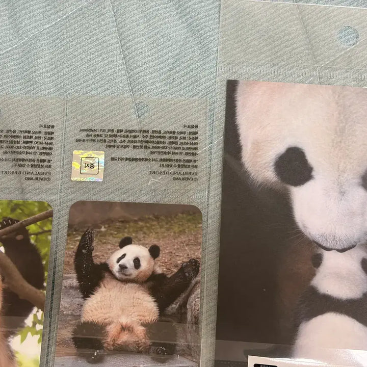 [BUNJANG] Fu Bao Postcard &amp; Photocard Bundle Set / 푸바오 엽서, 포카 일괄