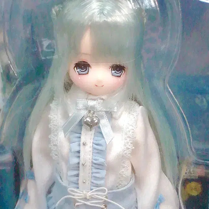 [BUNJANG] Azone 1/6 Execute Family Another Secret Wonderland Sera Light Blue (Sealed) / 아존 1/6 엑스큐트 패밀리 어나더 시크릿 원더랜드 세라 라이트블루 (미개봉)