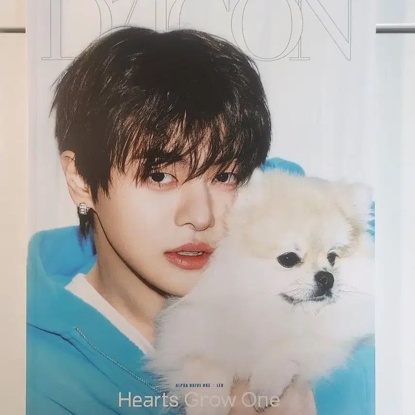 [BUNJANG] Dicon Magazine - RIO (A.C.E.) B Type / 알파드라이브원 리오 디아이콘 B형 매거진
