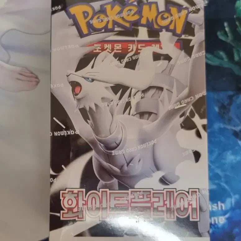 [BUNJANG] Pokemon Card Black Kyurem &amp; White Kyurem Booster Boxes (2 Boxes) / 포켓몬카드 블랙볼트, 화이트 플레어 총 2박스