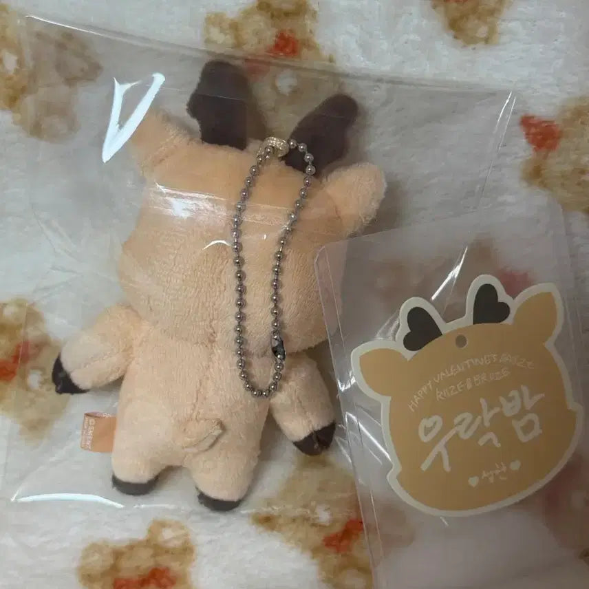 [BUNJANG] RIIZE Sungchan 10cm Doll Valentine&