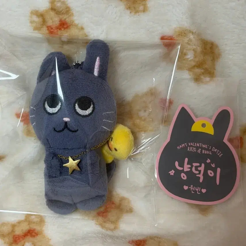 [BUNJANG] RIIZE Wonbin Valentine 10cm Doll Charm / 라이즈 토냥덕 원빈 1기 10cm 인형 발렌타인 굿즈 키링
