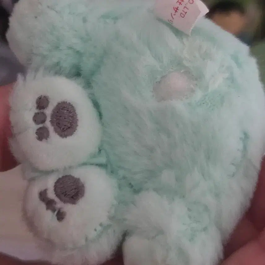 [BUNJANG] Sanrio Pochacco Plush Doll (Minor Flaw on Base) / 산리오 포차코 인형 (바닥부분하자)