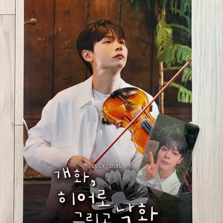 [BUNJANG] Lucy Mai Teafilm Yechan Poster + Yechan Photocard / 루시 마이아티필름 예찬 포스터 + 예찬 포카