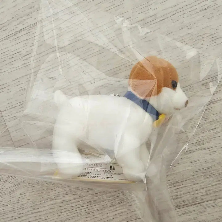 [BUNJANG] Ghibli Museum Limited Edition Goro Plush Keychain / 지브리 뮤지엄 박물관 한정 고로 인형 키링 새제품 레어템