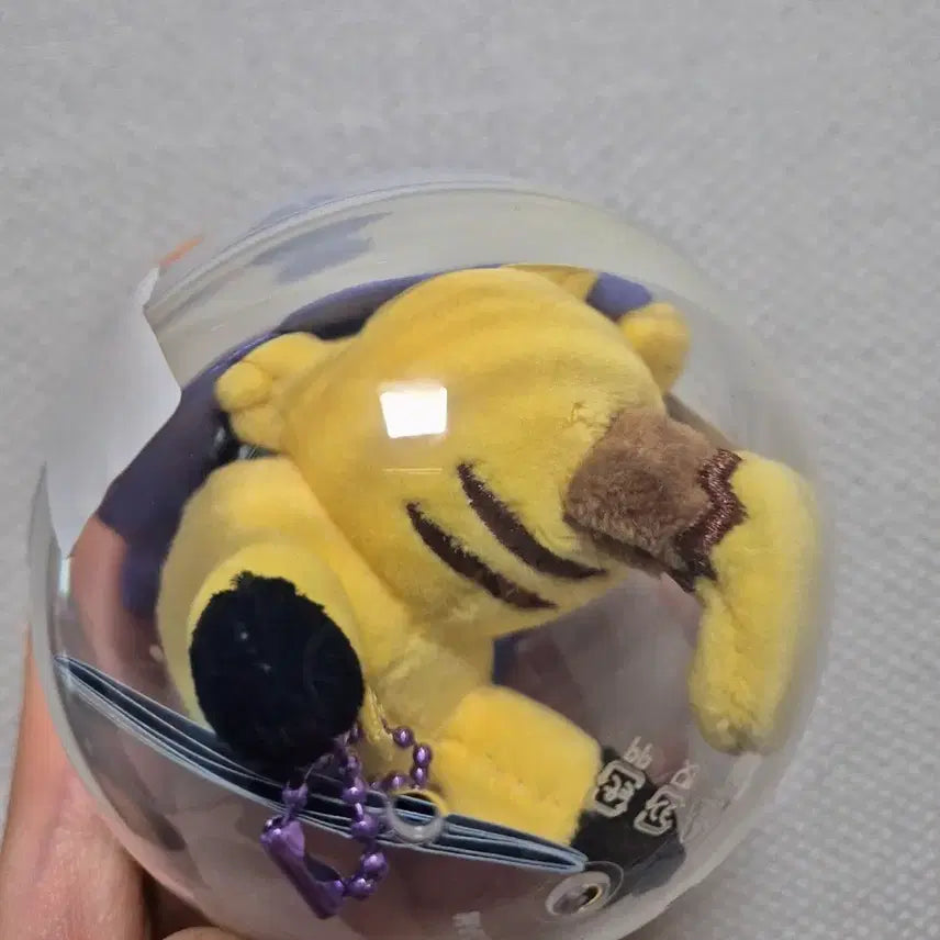 [BUNJANG] Pokemon Relaxing Vacation Pop-up Pikachu Gacha Keyring / 포켓몬 느긋느긋 바캉스 팝업 피카츄 키링