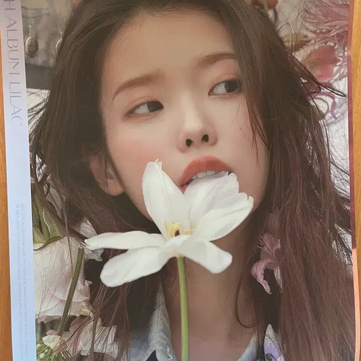 [BUNJANG] IU &