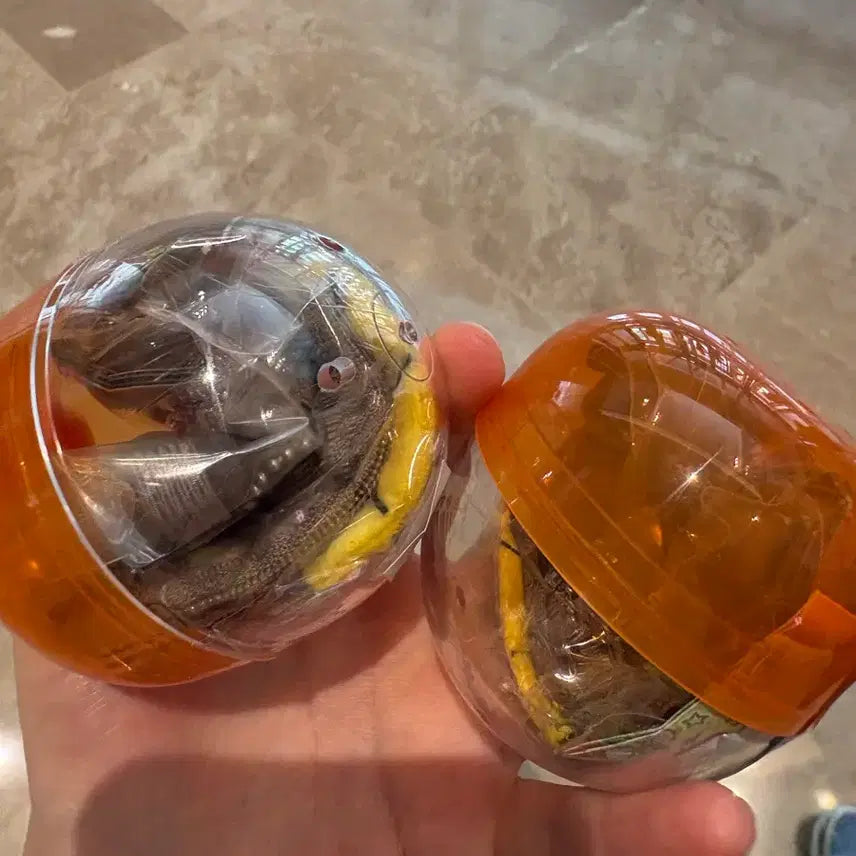 [BUNJANG] Pokemon Center Mini Backpack Charm / 포켓몬센터 포켓몬 미니 백팩 메더
