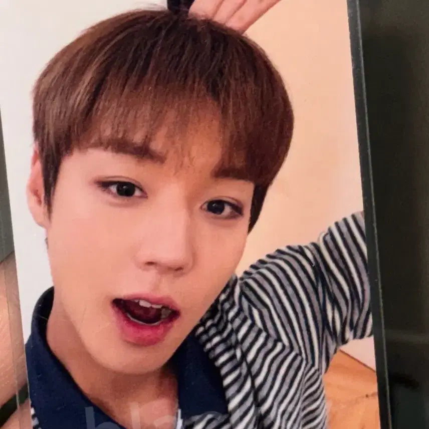 [BUNJANG] Park Jihoon Macau Fancon Photocard / 박지훈 마카오 팬콘 포카