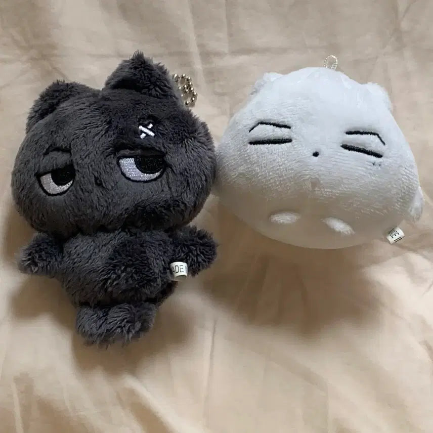 [BUNJANG] ENHYPEN Jay "Mandu Jjong" Doll Bundle Set / 엔하이픈 제이 박종성 Enhypen Jay 인형 만두쫑 묘묘이픈 묘묘쫑 일괄 양도