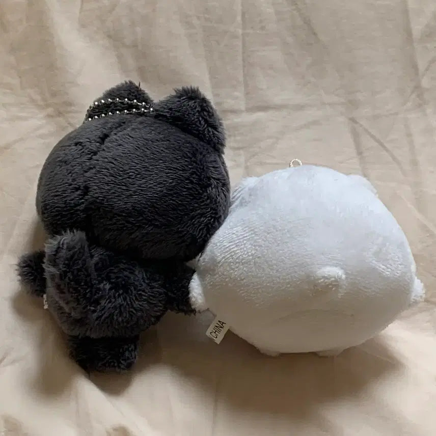 [BUNJANG] ENHYPEN Jay "Mandu Jjong" Doll Bundle Set / 엔하이픈 제이 박종성 Enhypen Jay 인형 만두쫑 묘묘이픈 묘묘쫑 일괄 양도