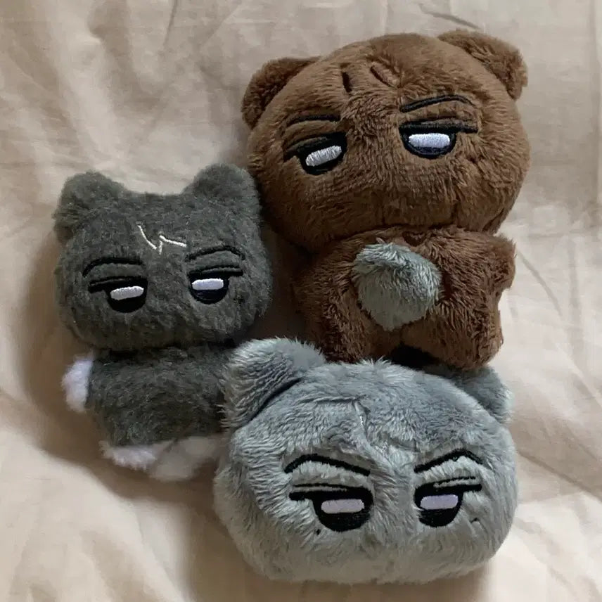 [BUNJANG] ENHYPEN Jay "Nyang Jjong-gun" "Gom Jjong-gun" Bundle Set / 엔하이픈 제이 박종성 Enhypen Jay 인형 냥쫑군 곰쫑군 일괄 양도