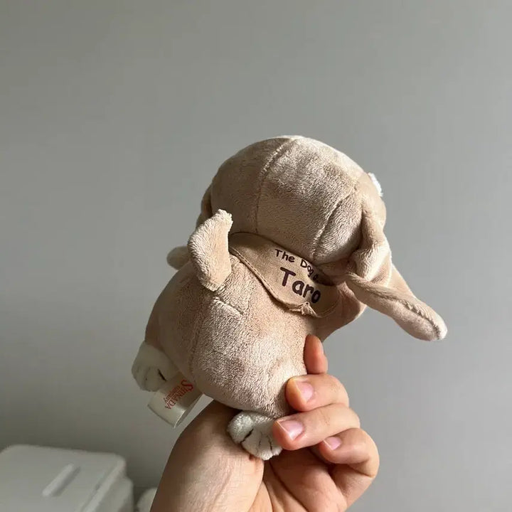 [BUNJANG] Vintage Dachshund Dog Plush Toy / 빈티지 시나다 닥스훈트 강아지 인형