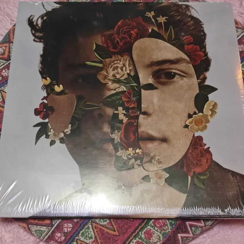 [BUNJANG] Shawn Mendes Still Won&