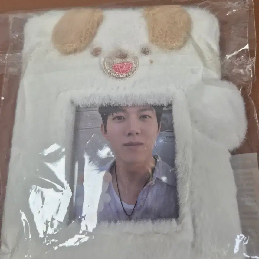 [BUNJANG] Day6 Petit Merz Collect Book Dong / 데이식스 쁘띠멀즈 콜렉트북 돈