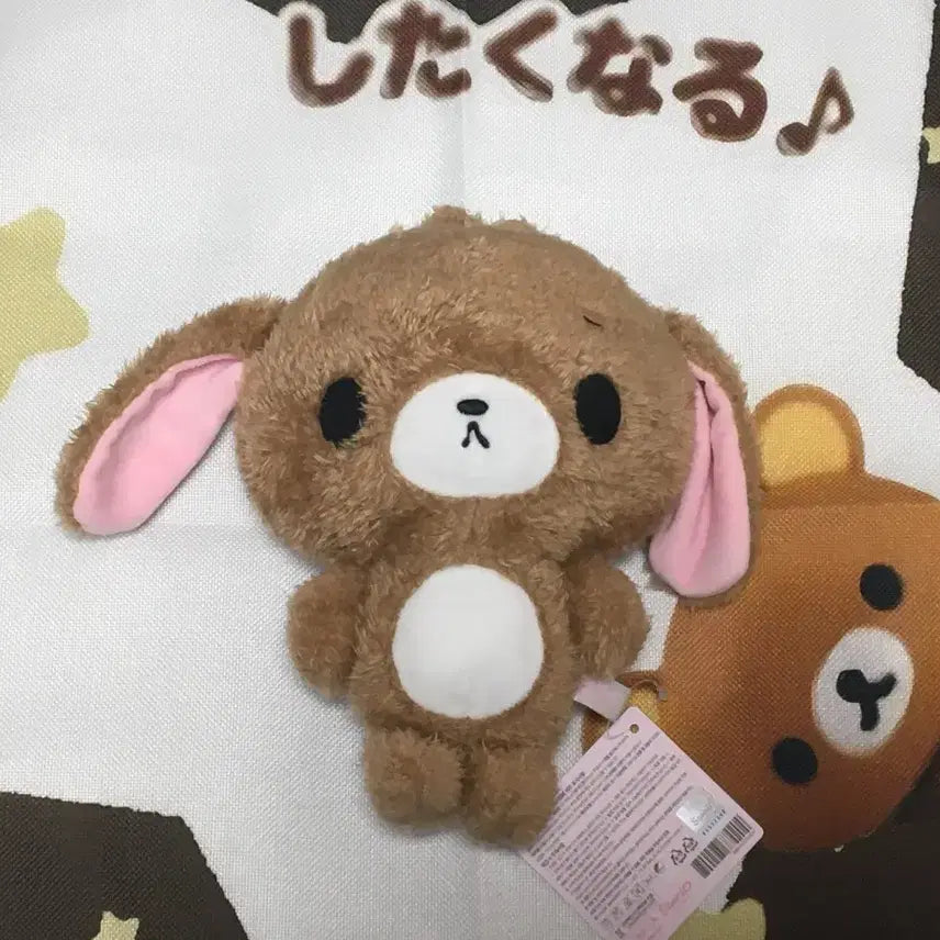 [BUNJANG] Sanrio Sugarbunnies Kurousa 20cm Medium Plush Doll / 산리오 슈가바니즈 쿠로우사 20cm 중형 인형