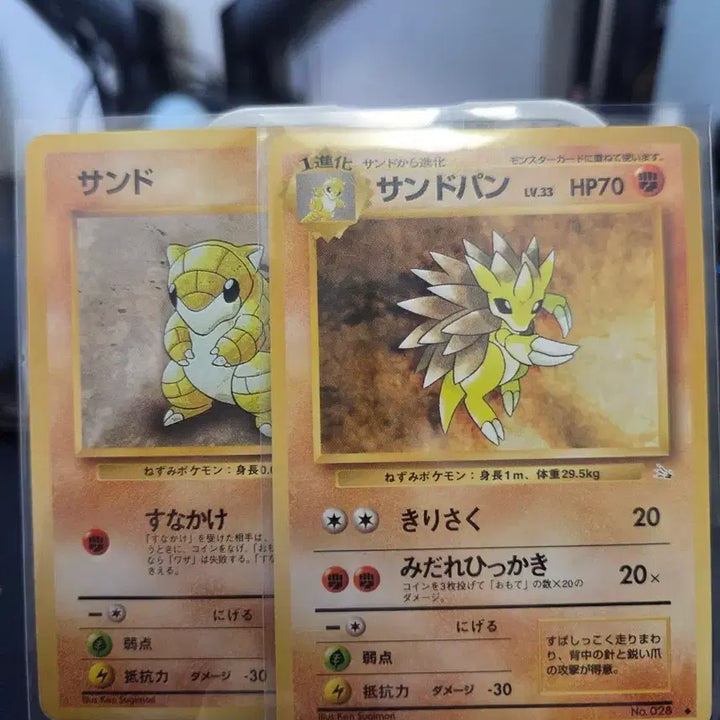 [BUNJANG] Pokemon Card 1996 1st Edition Base Set Sandshrew &amp; Sandslash Bundle / 포켓몬카드) 1996 초판 확장팩 올드백 모래두지, 고지