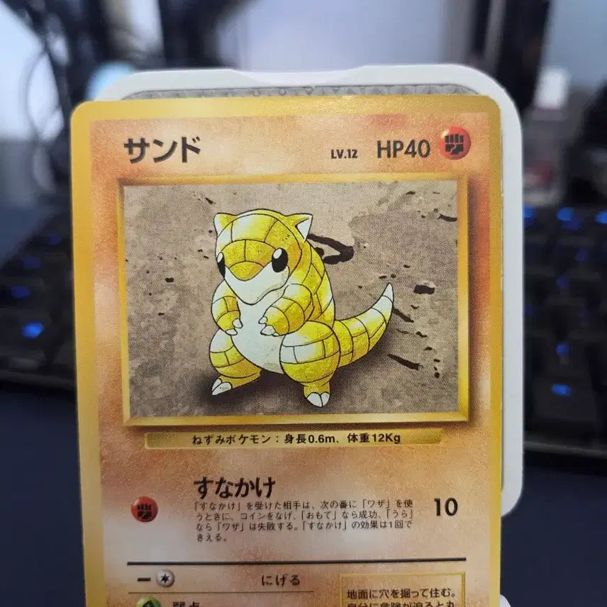 [BUNJANG] Pokemon Card 1996 1st Edition Base Set Sandshrew &amp; Sandslash Bundle / 포켓몬카드) 1996 초판 확장팩 올드백 모래두지, 고지