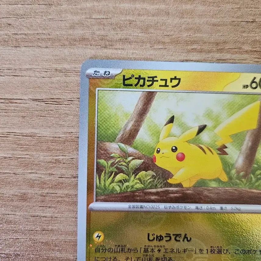 [BUNJANG] Pokemon Card Pikachu 