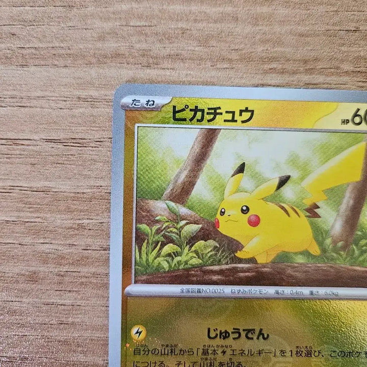 [BUNJANG] Pokemon Card Pikachu 